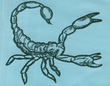lobster design